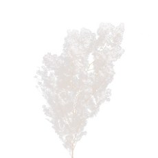 0211ce39c1ada58824feeec801ab5fc93c4239abc66d94ca6752b9b5b81d.jpeg
