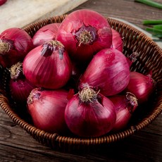 양파가격-추천-상품