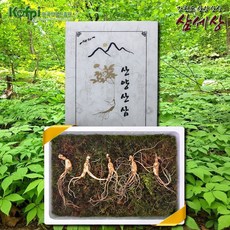 삼세상