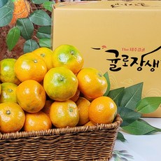 제주농협귤로장생