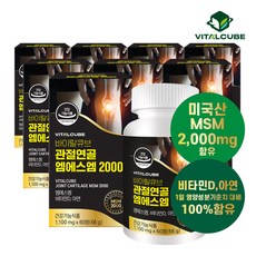  바이탈큐브 [바이탈큐브] 관절연골 엠에스엠 2000 60정x8개(8개월), 60개 