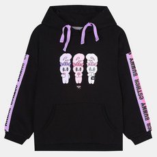 신디넷pebblev3카톡