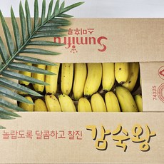 [월드마켓] 쥬스용 실속 낱발 고당도 바나나 13kg
