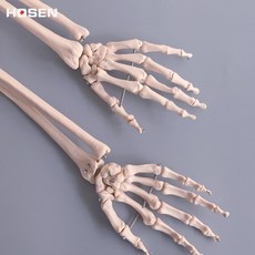 인체구도연습나무모형