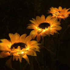 태양광해바라기