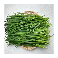 신선채소 국내산 부추 4kg, ONE COLOR, ONE SIZE