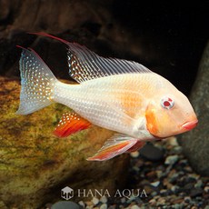 5d817f9d3201321f9da3a15603c873ecc8b5c38d12dbc606239f555b2c4b.jpg