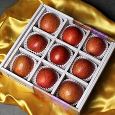 꿀 사과 부사 3KG 9과 명절 선물세트