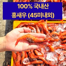 속초 100% 국내산 자연산 단새우(45미내외) 횟감 홍새우 아마에비 홈마카세 최근조업 급냉