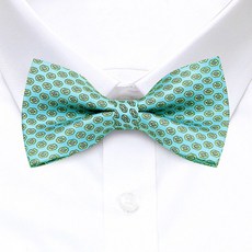 노란색나비넥타이