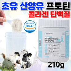 성장분유청소년