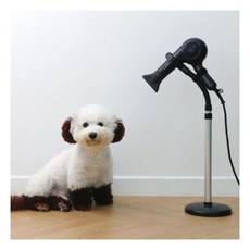 원더볼펀하우스