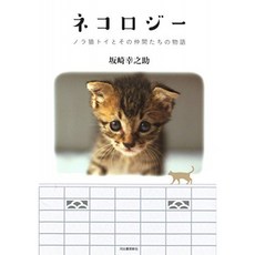 네코로지 노라 고양이 토이와 그 동료들의 이야기, 단일옵션, 단일옵션