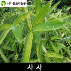 23567a370b3c479514973614f1fc8c6551abe03f22afe7448de2df3c9792.png