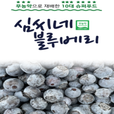 블루베리1kg-추천-상품