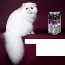 고양이 목욕 샴푸 천연 성분 세정 에센스 고양이 용품, 95ML, 95ml