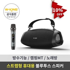 휴대용 블루투스 스피커 (마이크 포함) 더블유킹 W-KING MT Box D10 스트랩형, MT Box D10스피커+무선마이크