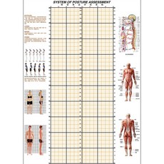 체형교정롤스크린