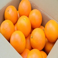 고당도 오렌지 12Brix 이상 중과 대과, 4개