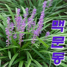 f5212223550fbde0200b5e7d41b3a6144b37ad938998e6607af140738f5c.jpg