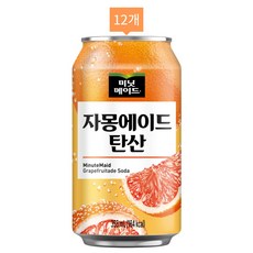 미닛메이드 자몽에이드 탄산, 12개, 355ml