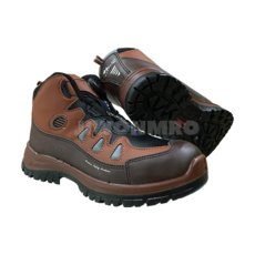 h6 TOP01