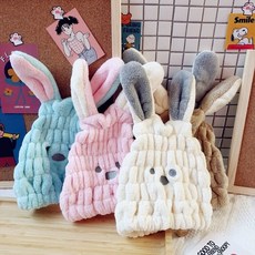 코슬리바디드라이기