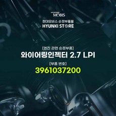 lpi인젝터
