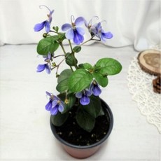 82d879b33e526646ca066f82e05abca0edf6682e166d79bde9a9ef72d261.jpg