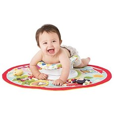 디즈니아기체육관