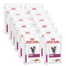 로얄캐닌 캣 레날 파우치 85g X 12개