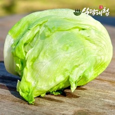 식탐대첩 국내산 신선한 양상추 4통 개당450-600g, 4개, 450g