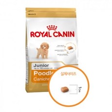 베이비펫아기푸들