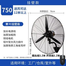 산업용 벽걸이 선풍기 업소용 공업용 대형 벽걸이형, FS-75[플라스틱리프+와이어제어스위치]