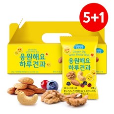 축하해요하루견과