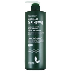 모에타 어성초 자소엽 녹차 샴푸액 지성 두피용, 1kg, 2개