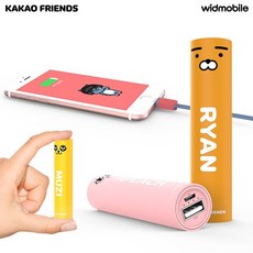 스틱보조배터리