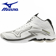 v1ga225009 TOP01