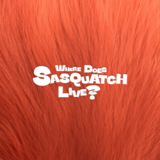 지올팍 (Zior Park) / WHERE DOES SASQUATCH LIVE? (2CD/VDCD7055)