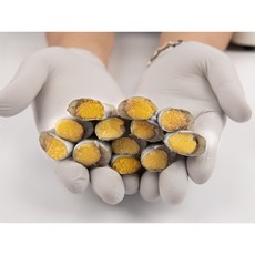 새벽상회 알 꽉찬 고소한 열빙어 트릿 술안주 캠핑용 영양간식 500g 25미내외, 3개