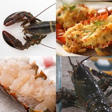 활랍스터 랍스타 바닷가재 캐나다랍스터, 1개, 1kg내외
