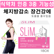 뱃살빠지는차