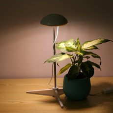 Heyniu 식물등 LED 식물조명 ZWD003
