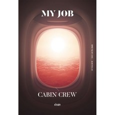 스튜어디스dvd
