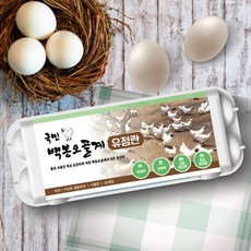 [국민란] 백봉오골계알 한약재 영양물 HACCP 사료 공급 백봉오골계 무항생제 백봉오골계란 20구 40구