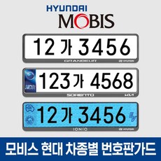 현대모비스 차종별 번호판가드 아반떼 N라인 2종 세트, 1세트, 01-9.현대 N라인