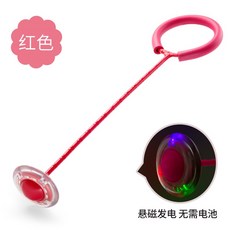 어른용스카이콩콩