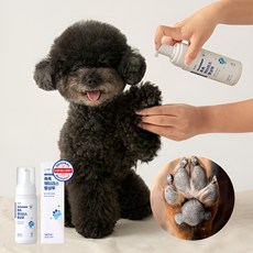  브이랩 촉촉 워터리스 발샴푸 150ml (풋 케어 세정제), 5개 x 150ml 