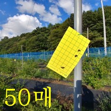 평판트랩