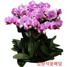 937fb54a879df76801ce4238726aed5ca8816f1f82163fba2b7c893fc7b6.jpg